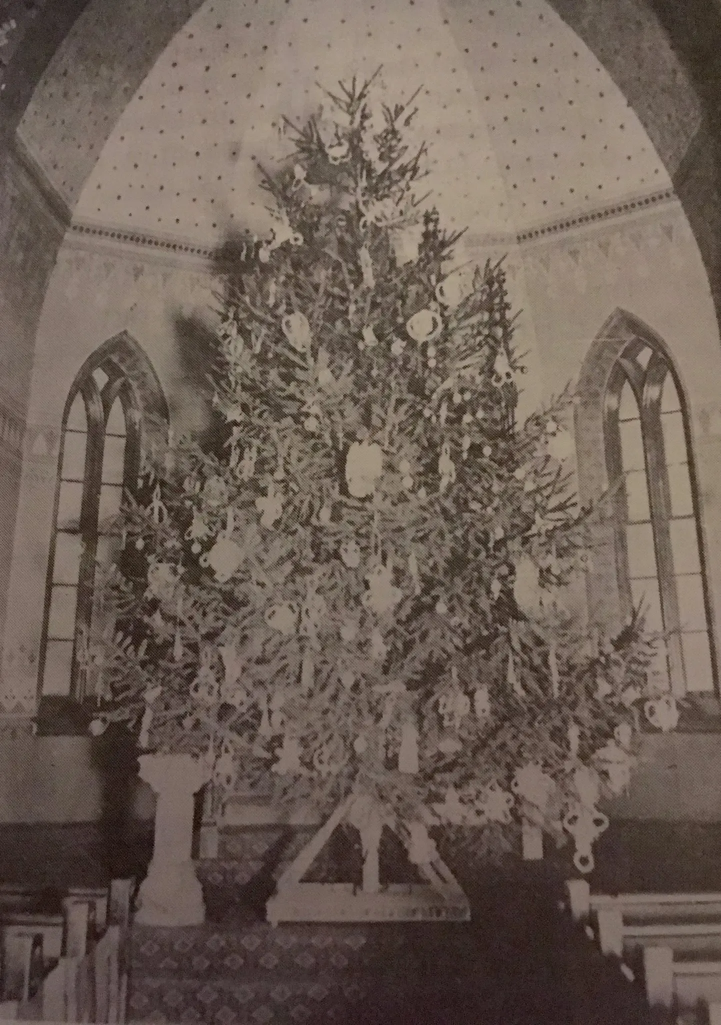 Historic photograph of a decorated Christmas tree standing tall in the gothic sanctuary of Trinity church