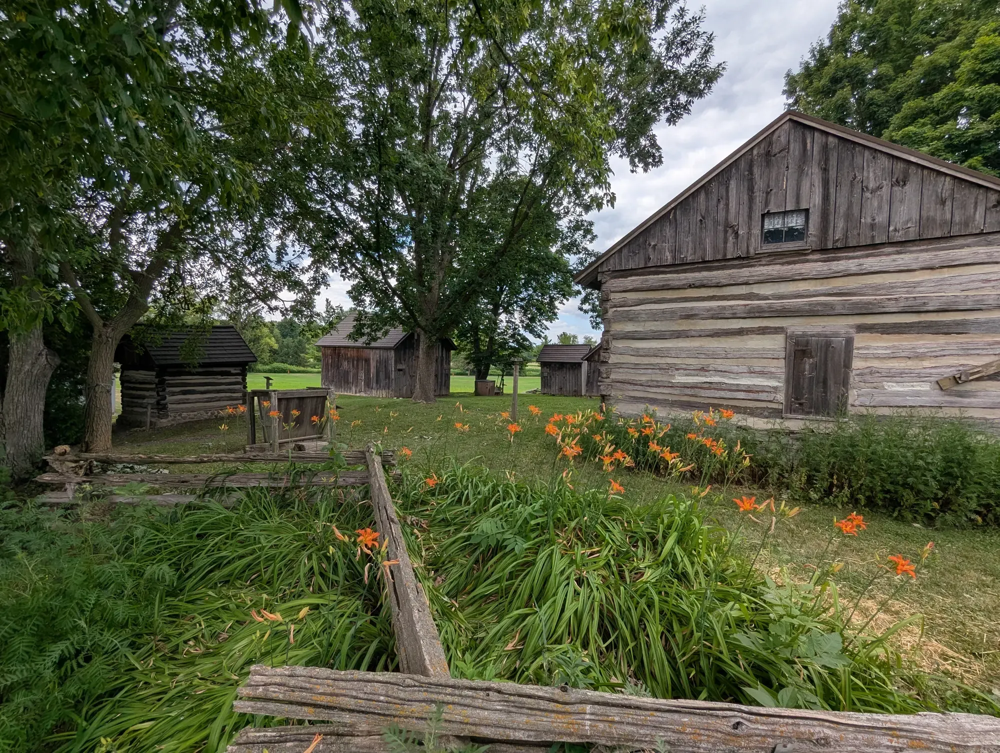 Orange daylilies along a split-rail fence at the corner of a log building, with more outbuildings across the lawn